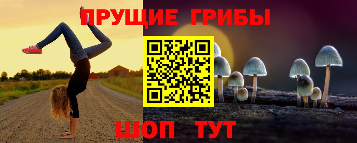 Галлюциногенные грибы Psilocybine cubensis Коломна
